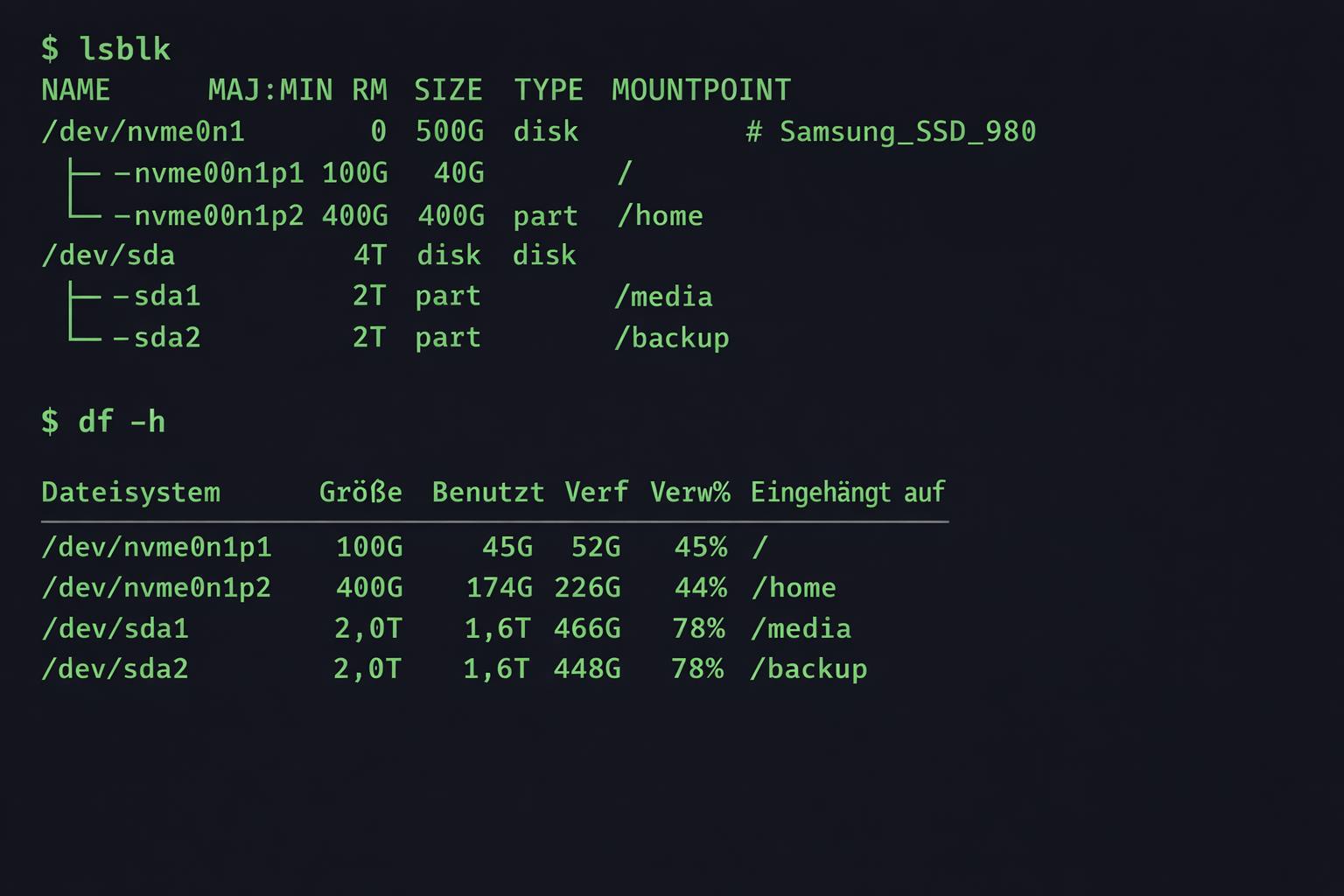 Linux Terminal Screenshot mit SSD und HDD Festplatten-Übersicht und Speicherplatz-Anzeige