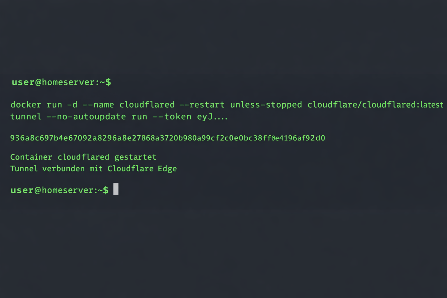 Terminal-Screenshot der Cloudflared Docker Installation mit erfolgreicher Tunnel-Verbindung