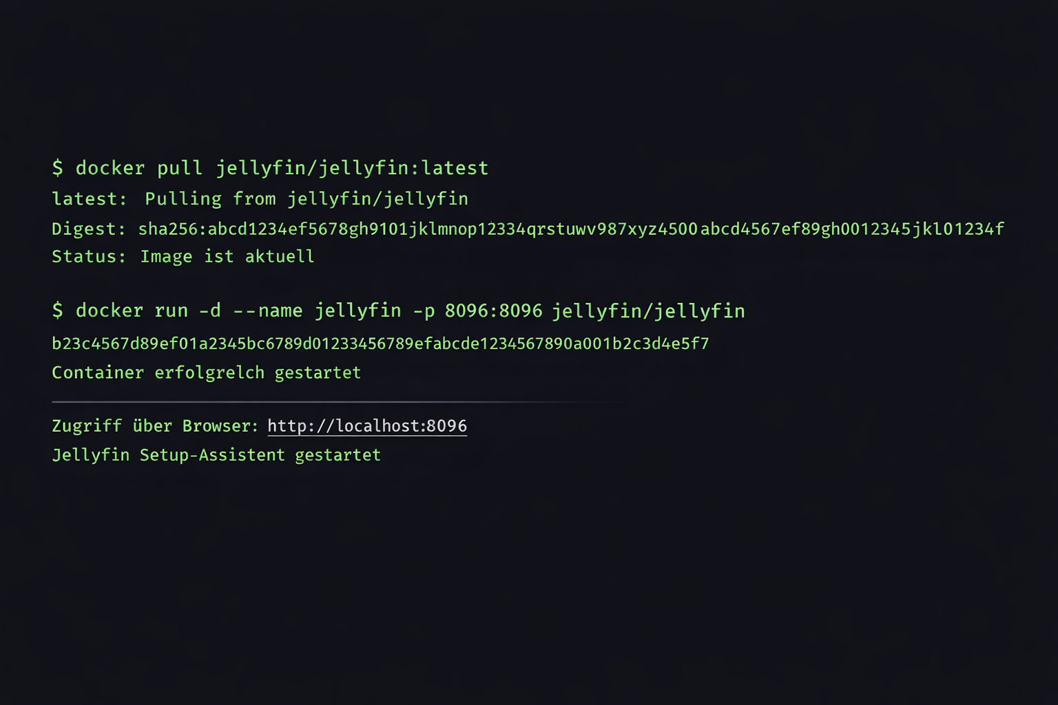 Jellyfin Docker Installation Terminal-Screenshot mit deutschen Befehlen und Ausgaben