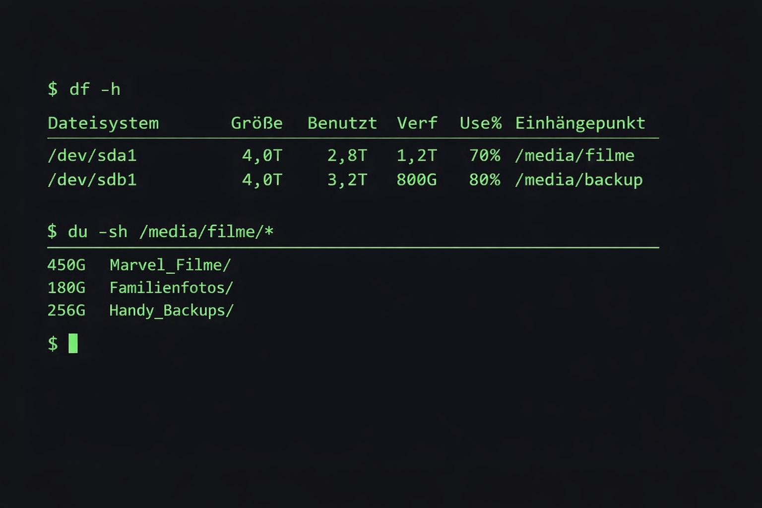Linux Terminal zeigt Festplatten-Speicherverbrauch und Ordnergrößen auf Home Server