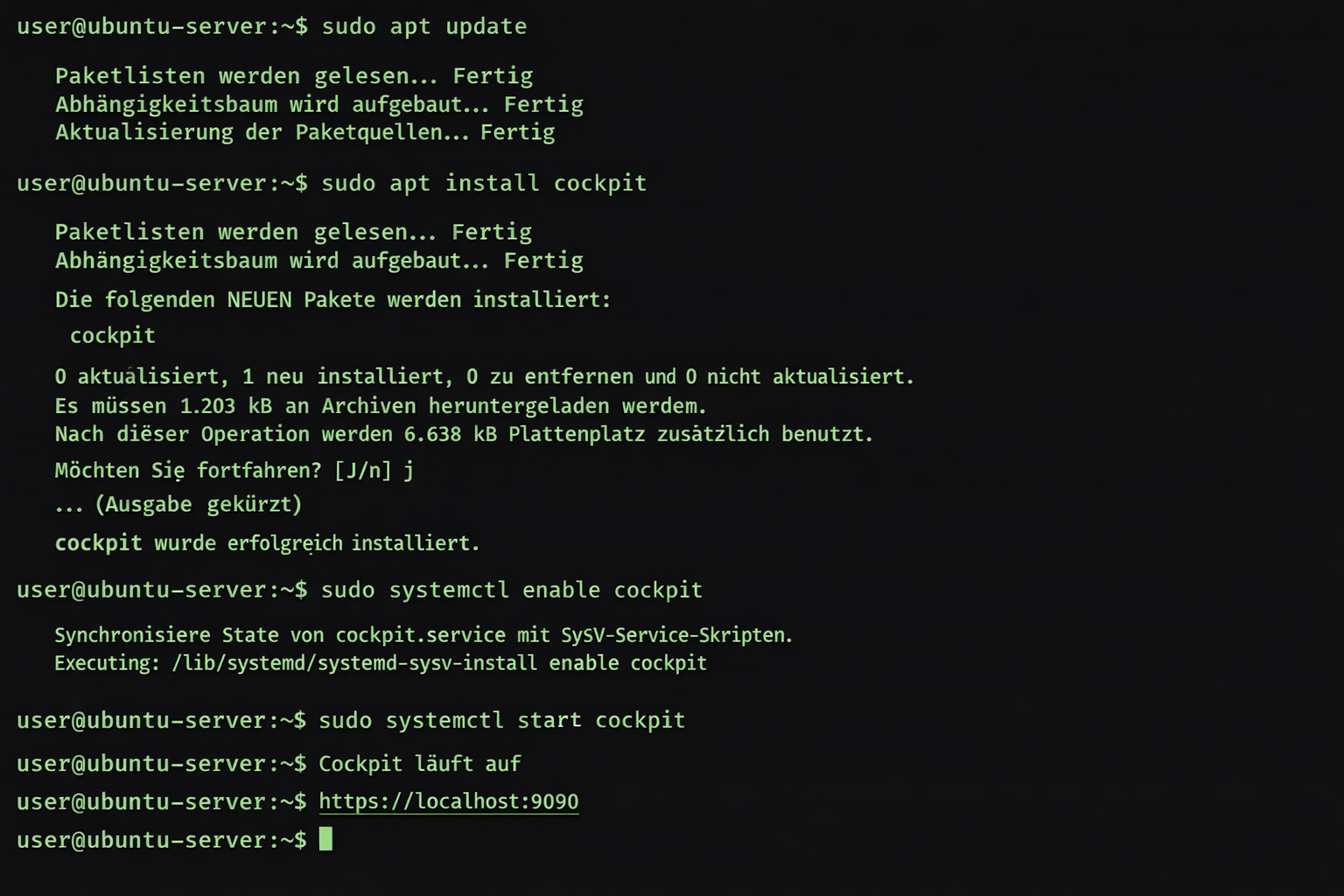Terminal-Installation von Cockpit Docker GUI auf Ubuntu Server mit deutschen Systemmeldungen