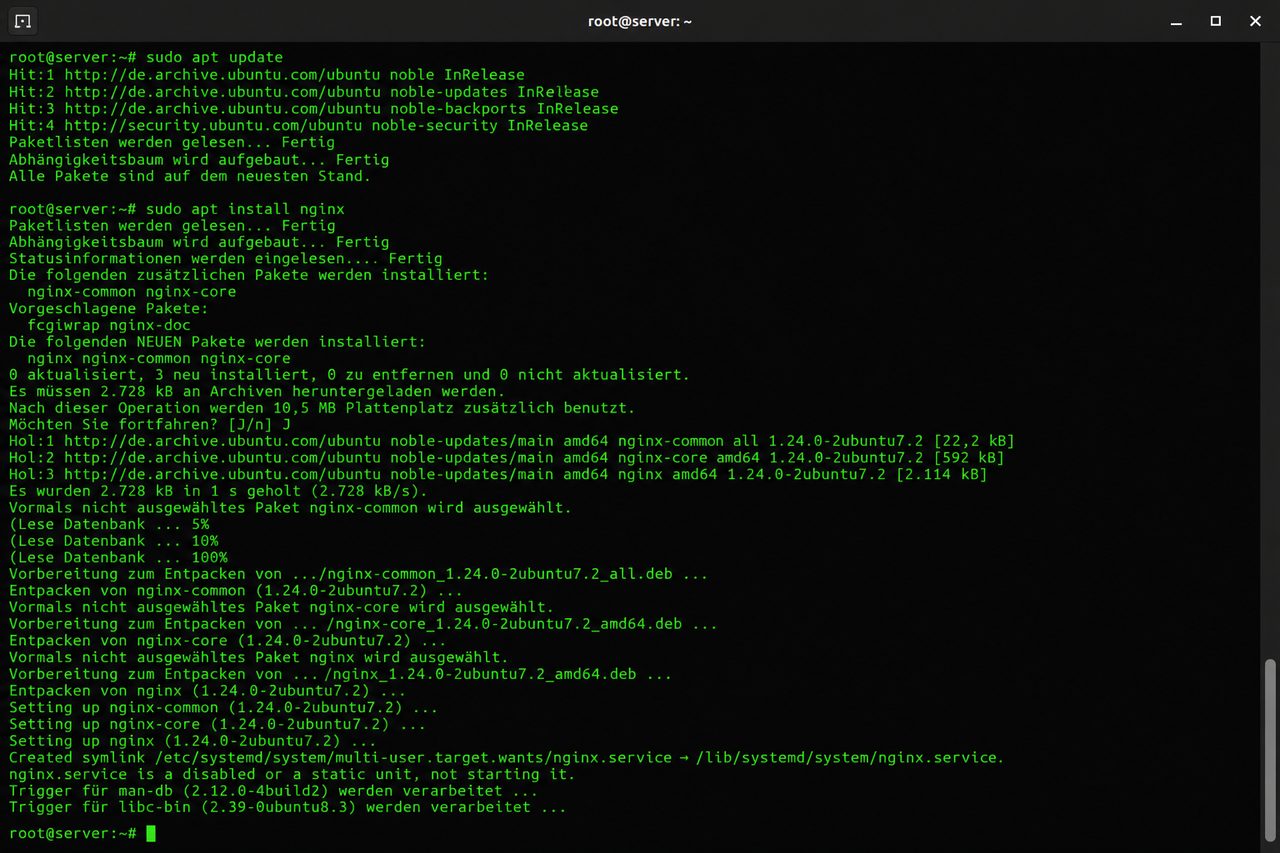 Terminal-Screenshot der Nginx-Installation auf einem Server